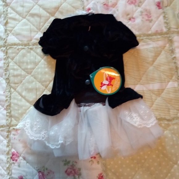 NWT Black Velvet Pet Dress - Picture 3 of 5